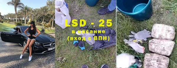 индика Абинск