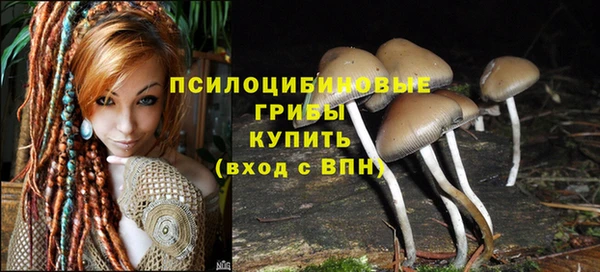спайс Абдулино