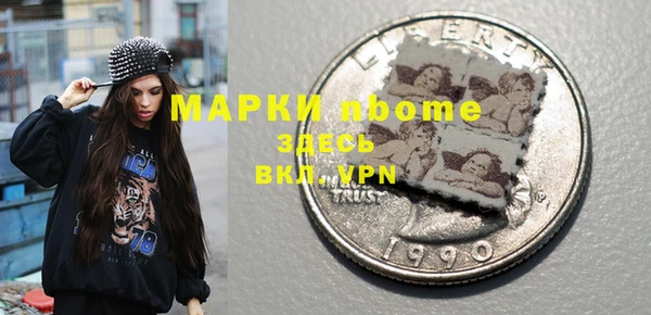 индика Абинск