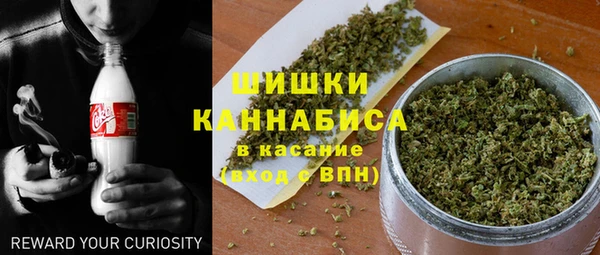 индика Абинск