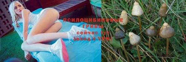 прущий лед Осинники