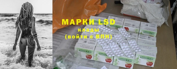 индика Абинск