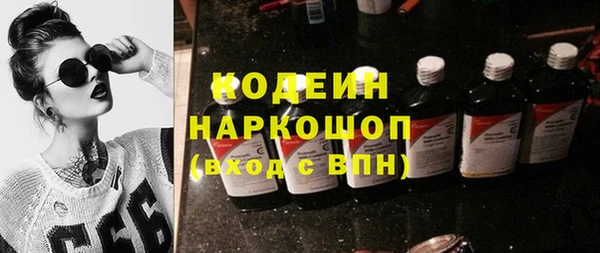 индика Абинск
