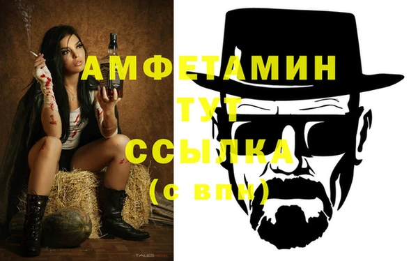 индика Абинск
